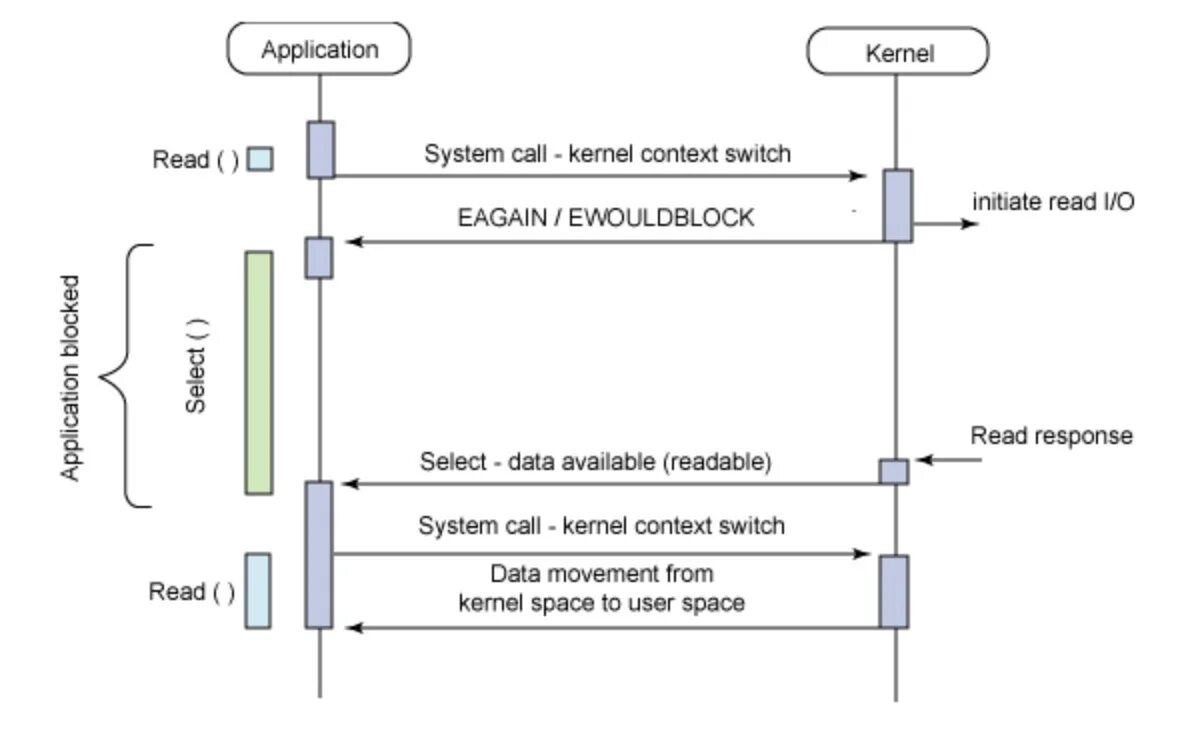 System reader