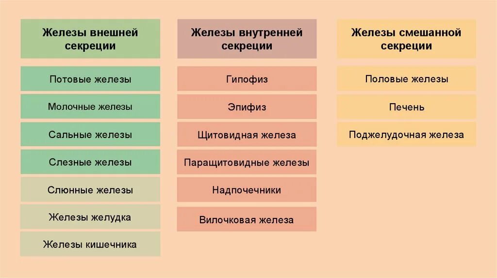 Железы внутренней секреции железы внешней секреции. Железы внутренней секреции внешней и смешанной секреции. Железы внешней внутренней и смешанной секреции. Железы внутренней внешней смешанной секреции анатомия.