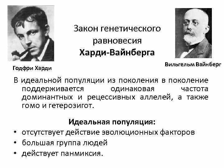 Генетик закон. Популяционная генетика харди-вайнберг. закон равновесия популяций харди вайнберга. харди вайнберга ученые. вайнберг биолог.