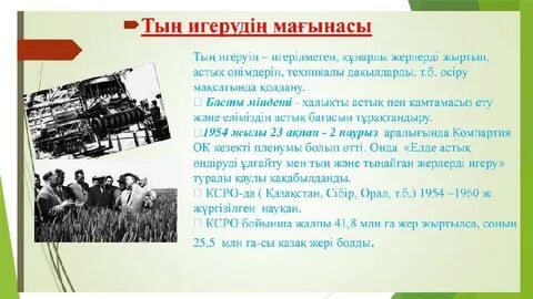 Әпкесі жыныстық қатынас үшін ағасын күтеді