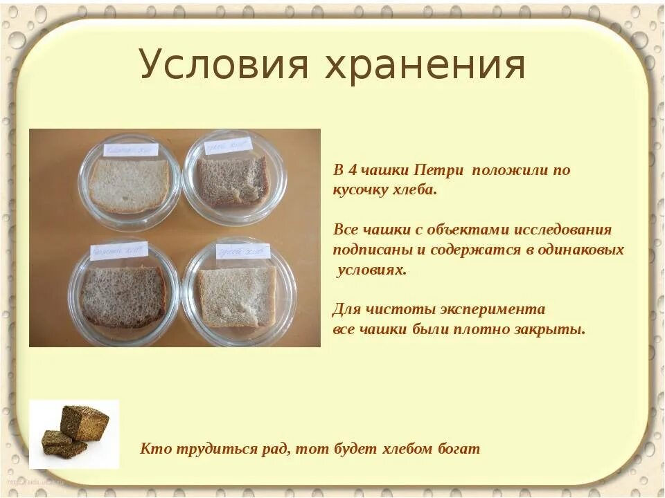 дрожжи саф момент. дрожжи прессованные срок годности. сколько можно хранить дрожжи. сколько можно хранить дрожжи. сколько можно хранить дрожжи.