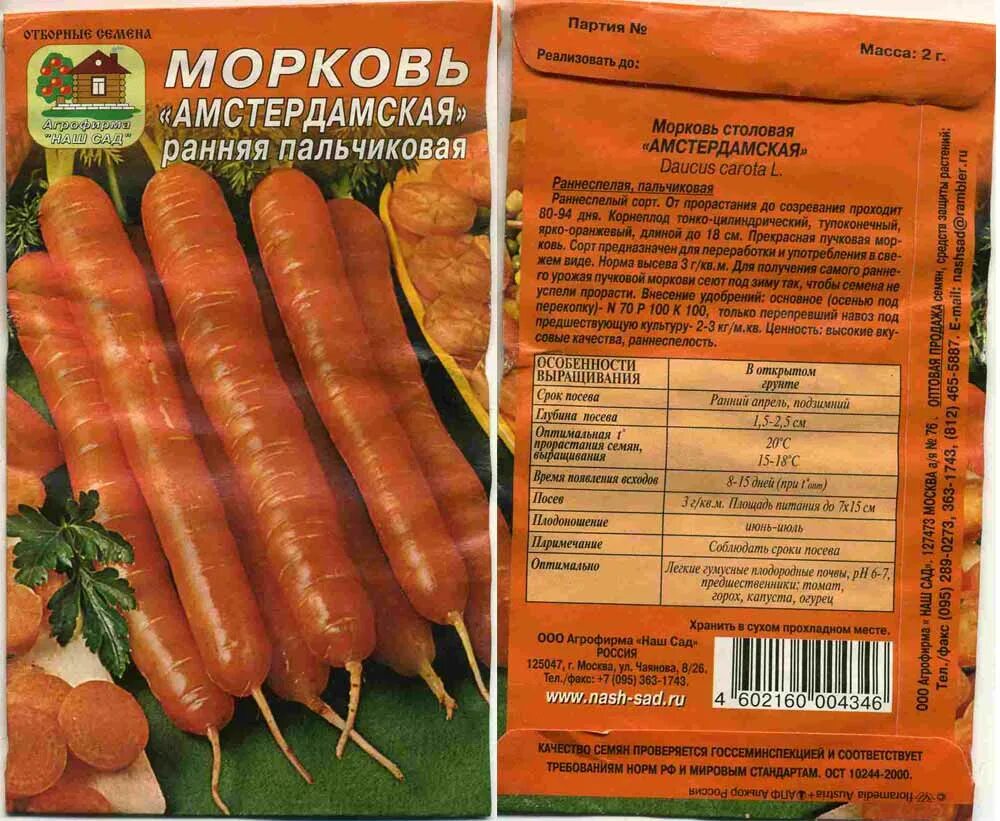 Сколько весит морковка. Сорт моркови Амстердамская. Сорт Амстердамская морковь урожайность. Семена морковь Амстердамская. Название семян моркови.