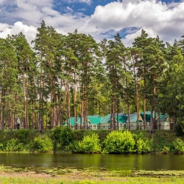 Recreation center Galdym Gorelskii leskhoz. All hotels of Gorelskii leskhoz