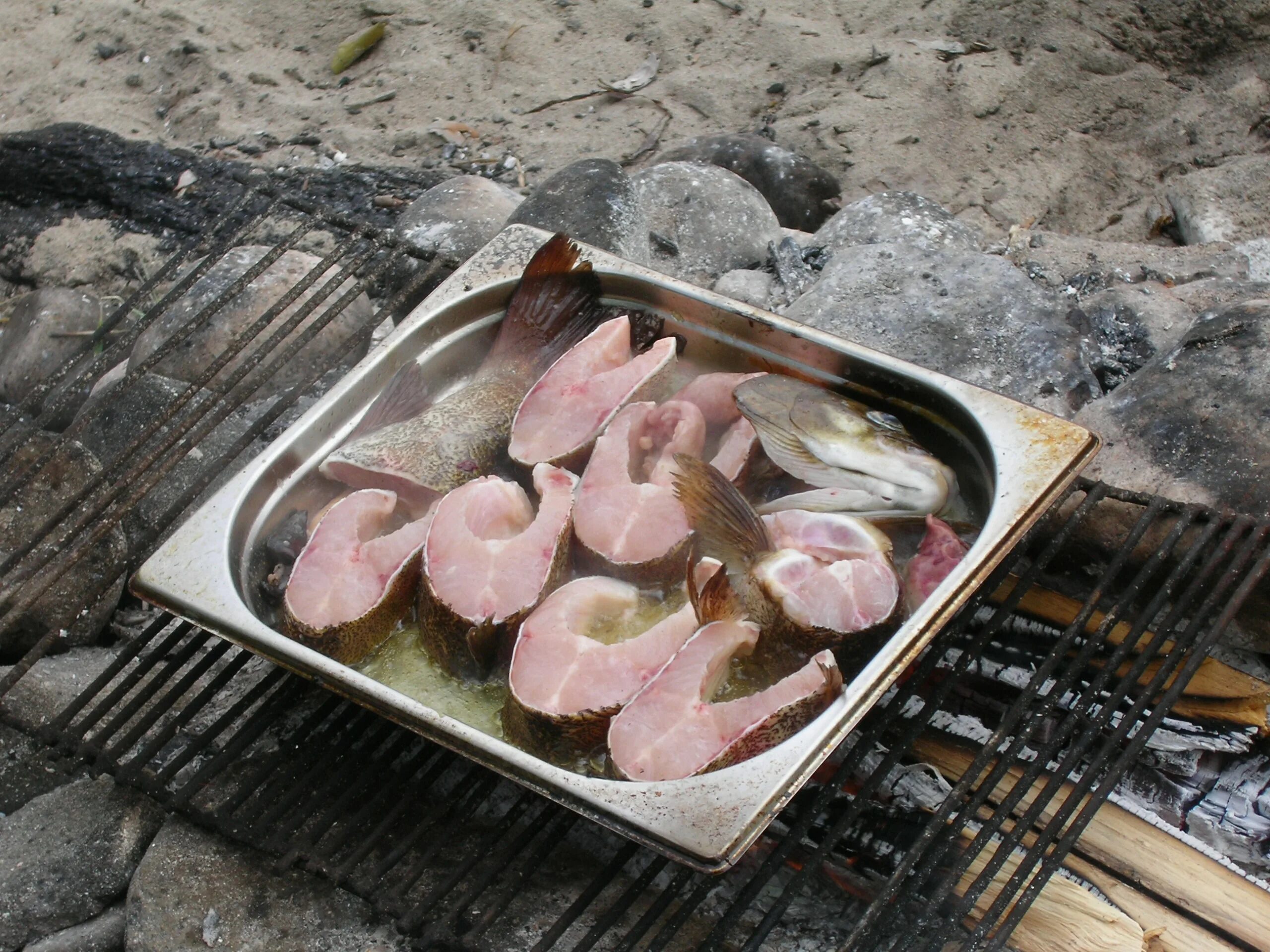 Ленок рыба мясо. Мясо ленка. Ленок рыба цвет мяса.