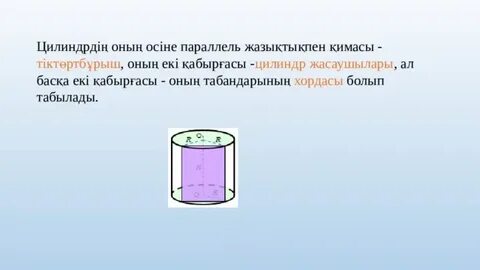 Клитордың көлденең қимасының фотосы