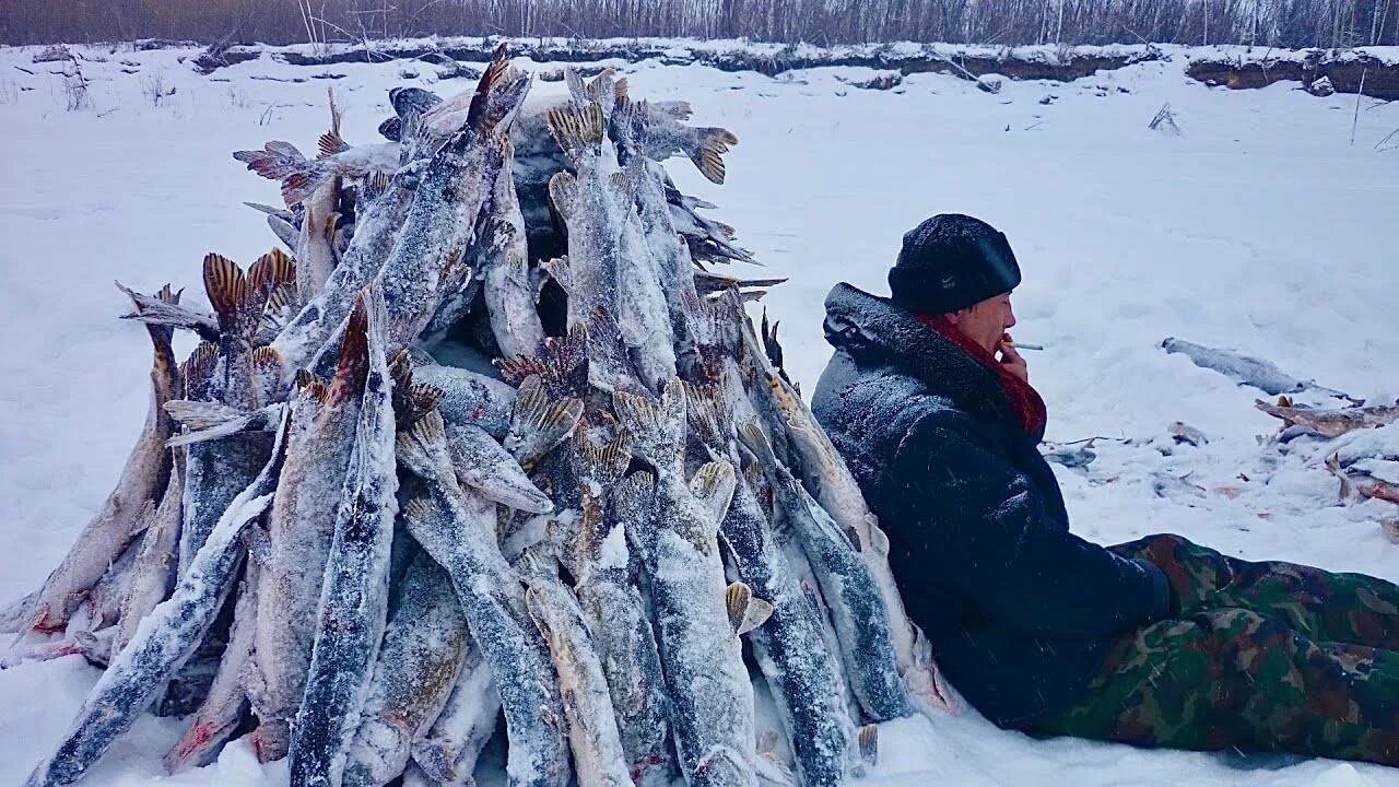 Охота и рыбалка на севере видео. Рыбалка в Якутии 2020 2021. Рыбалка Якутия 2021 зима. Охота и рыбалка в Сибири и Якутии. Зимняя рыбалка в Якутии 2021.
