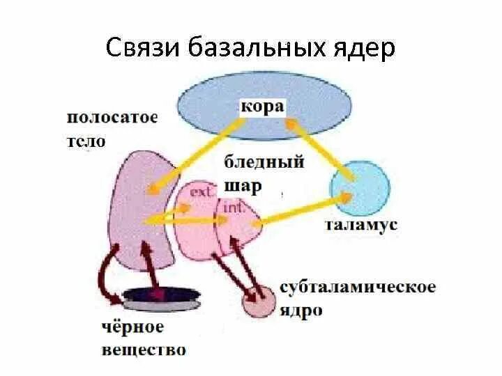 Прямой и непрямой путь