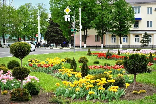 Город тихорецк дома. Тихорецк центр города. тихорецк краснодарский край. город тихорецк краснодарский. гор тихорецк краснодарского края.
