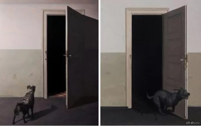 За дверью тревожно залаяла собака текст. Картина собака и дверь. Картина с собакой и открытой дверью. Собака перед открытой дверью. Собака перед дверью картина.