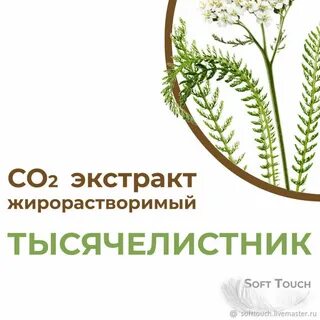 Экстракт тысячелистника