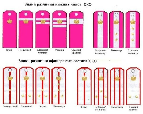 Младший чин. Войсковые воинские звания вс рф. Погоны российской армии казачьи чины. Казачий чин подхорунжий. Казачьи чины и погоны в российской империи.