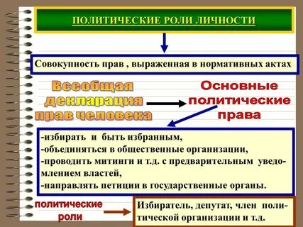 Темы проектов политика