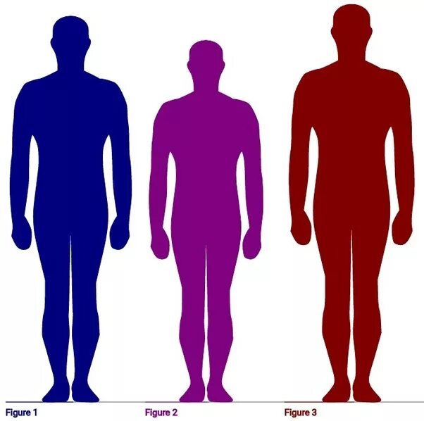 Height 6 1