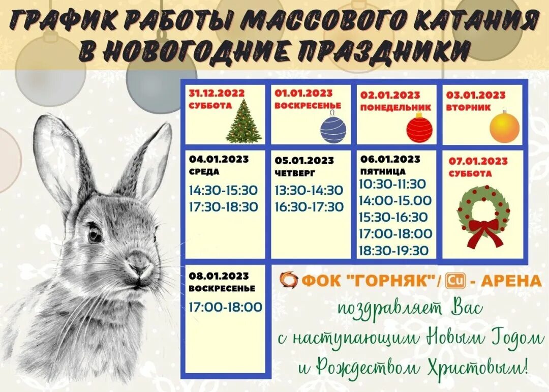 График работы массового катания в новогодние праздники Развлечения Селдон Новост