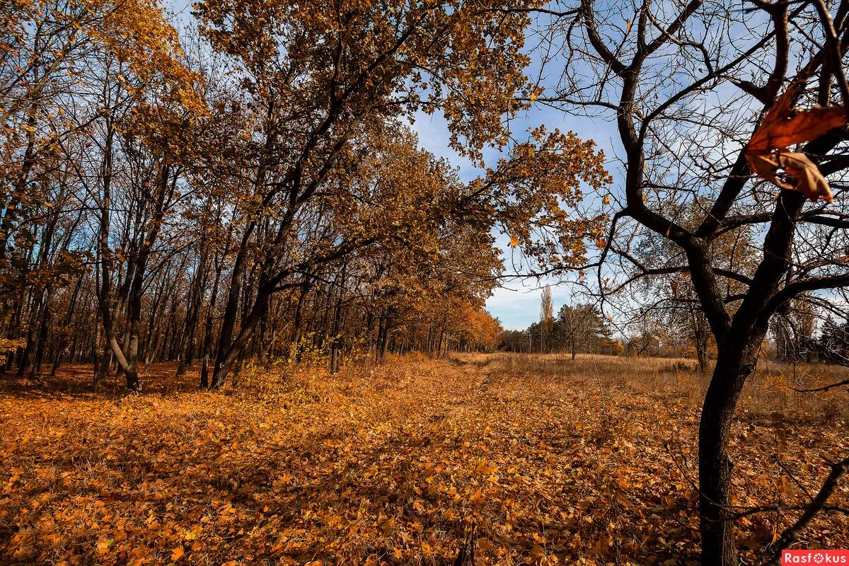 конец осени. под октября. осень пушкин октябрь уж. зимний дворец революция 1917 кратко. под октября.