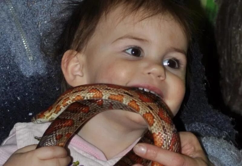 Почему боятся змей. Малыш змеи. Змея для детей.