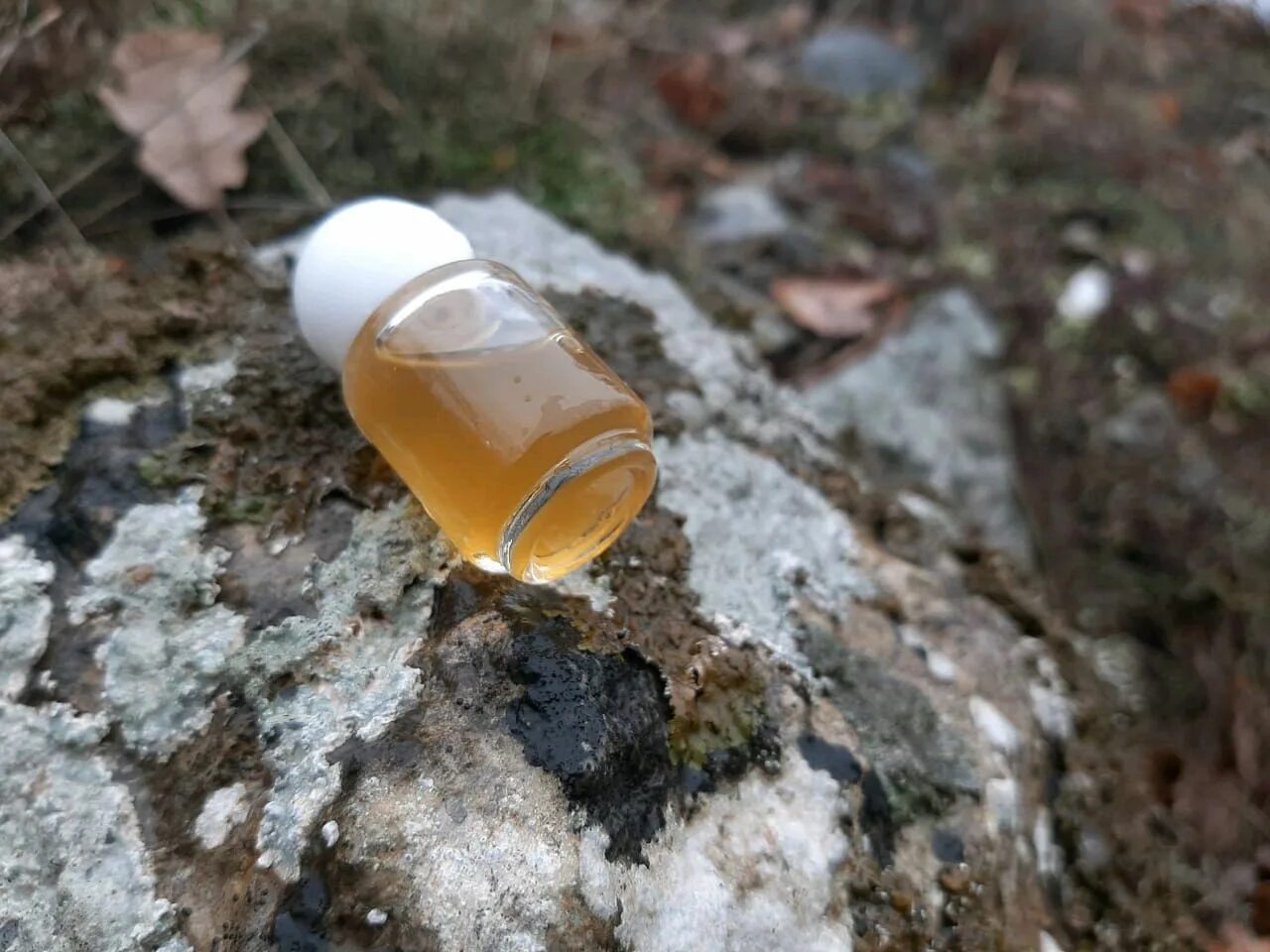 Туалетная вода полынь. Духи с ароматом полыни для женщин. Горькие духи полынь. Туалетная вода с ароматом полыни. Уни.