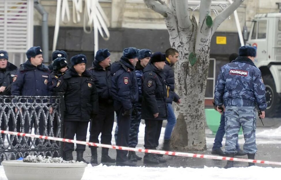 Террористы кусты. Волгоград зона террористы. Террористы кусты. Волгоград зона террористы. Волгоград зона террористы.