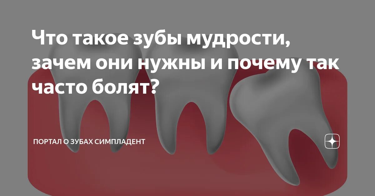 Почему зубы мудрости так называются. Для чего нужны зубы мудрости.