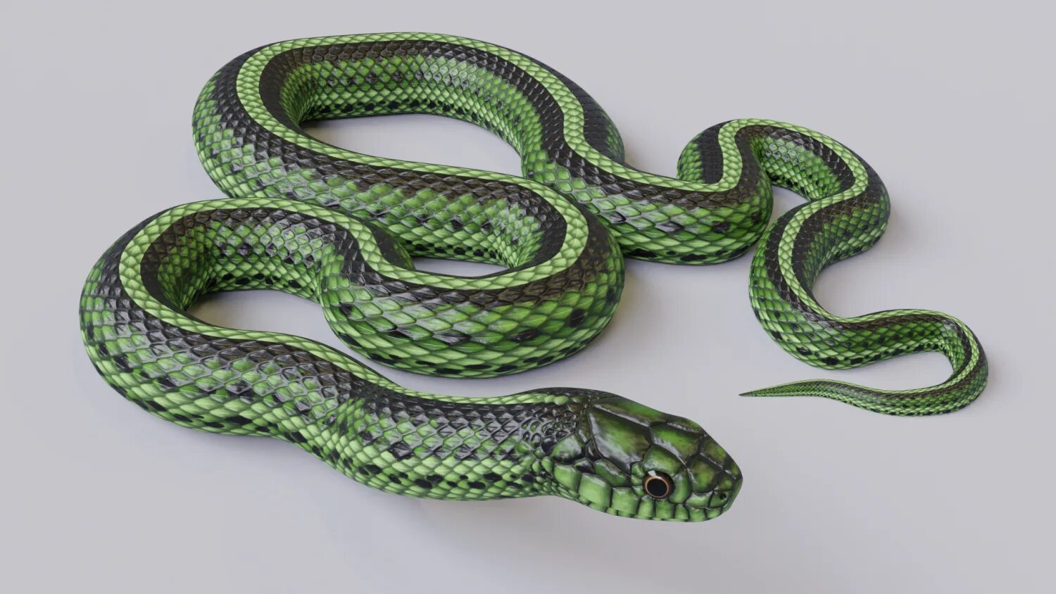 Snake мод. 3д модель змеи. 3 Змеи. Garter Snake цвет. Питон 3д моделька.