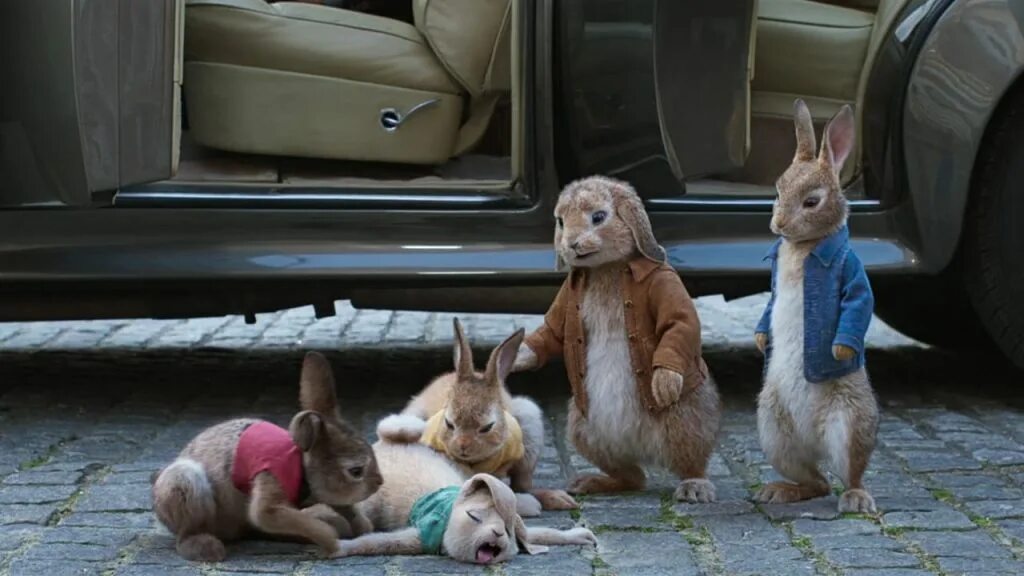 Rabbit movie