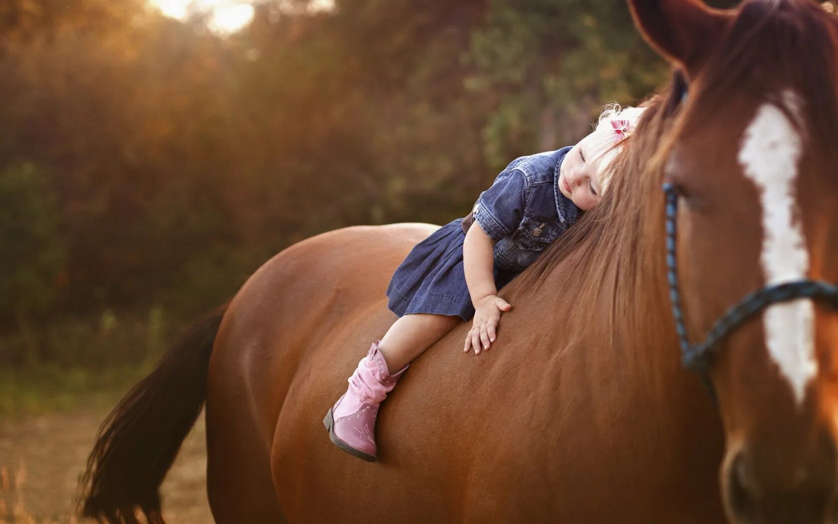 Девочка на лошади. Лошадь для детей. Фотосессия с лошадьми. Девочка и конь.