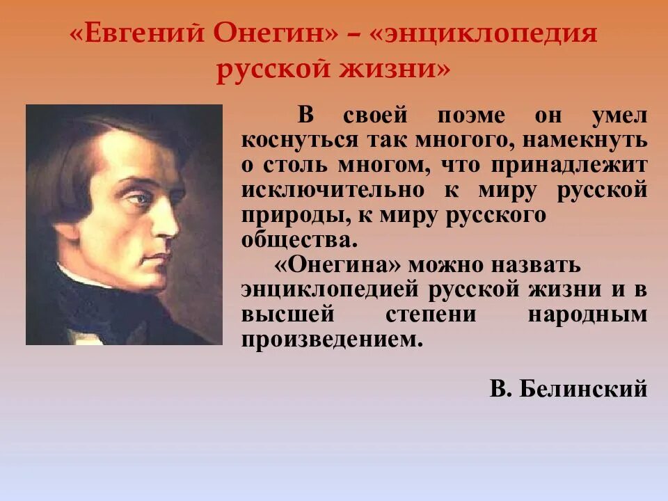 Почему онегин называют энциклопедией русской жизни