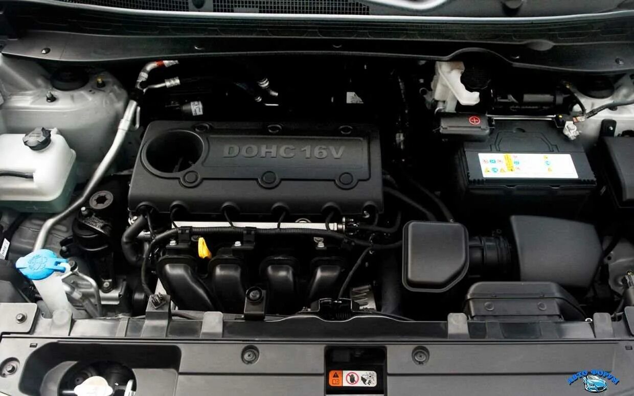 Ремонт двигателя киа спортейдж бензин. Мотор Kia Sportage 2.0. Двигатель Киа Спортаж 3. Kia Sportage 3 двигатель g4kd. Sportage 2.0 2013 ДВС.