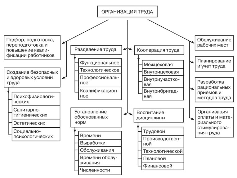Общие элементы организации. Схема элементов организации труда. ключевые элементы организации труда на предприятии. форма организации труда основного персонала. основные составляющие системы организации труда.