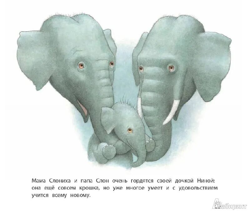 Мама слон. Слон отец. Слон мама папа. Слоны и мамы. Мама про слоненка