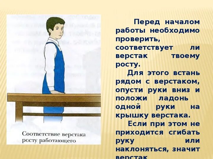 Перед началом работы следует проверить. Рабочее место и инструменты для ручной обработки. Рабочее место по обработке древесины. Оборудование рабочего места для ручной обработки древесины. Организация рабочего места при ручной обработке древесины.