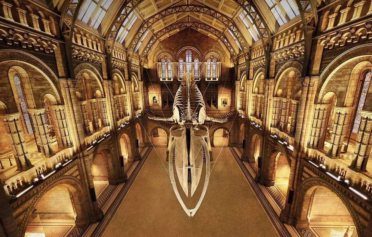 Какие музеи есть в лондоне. Музей естествознания (natural History Museum). Натурал хистори музей Лондон. London музей естествознания. Музей natural History в Лондоне.