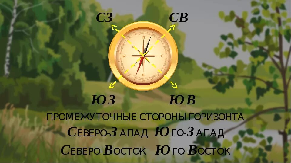 Как расположены анды относительно сторон горизонта. Стороны горизонта. Стороны горизонта на карте. Основные и промежуточные стороны горизонта. Стороны горизонта и промежуточные стороны горизонта.