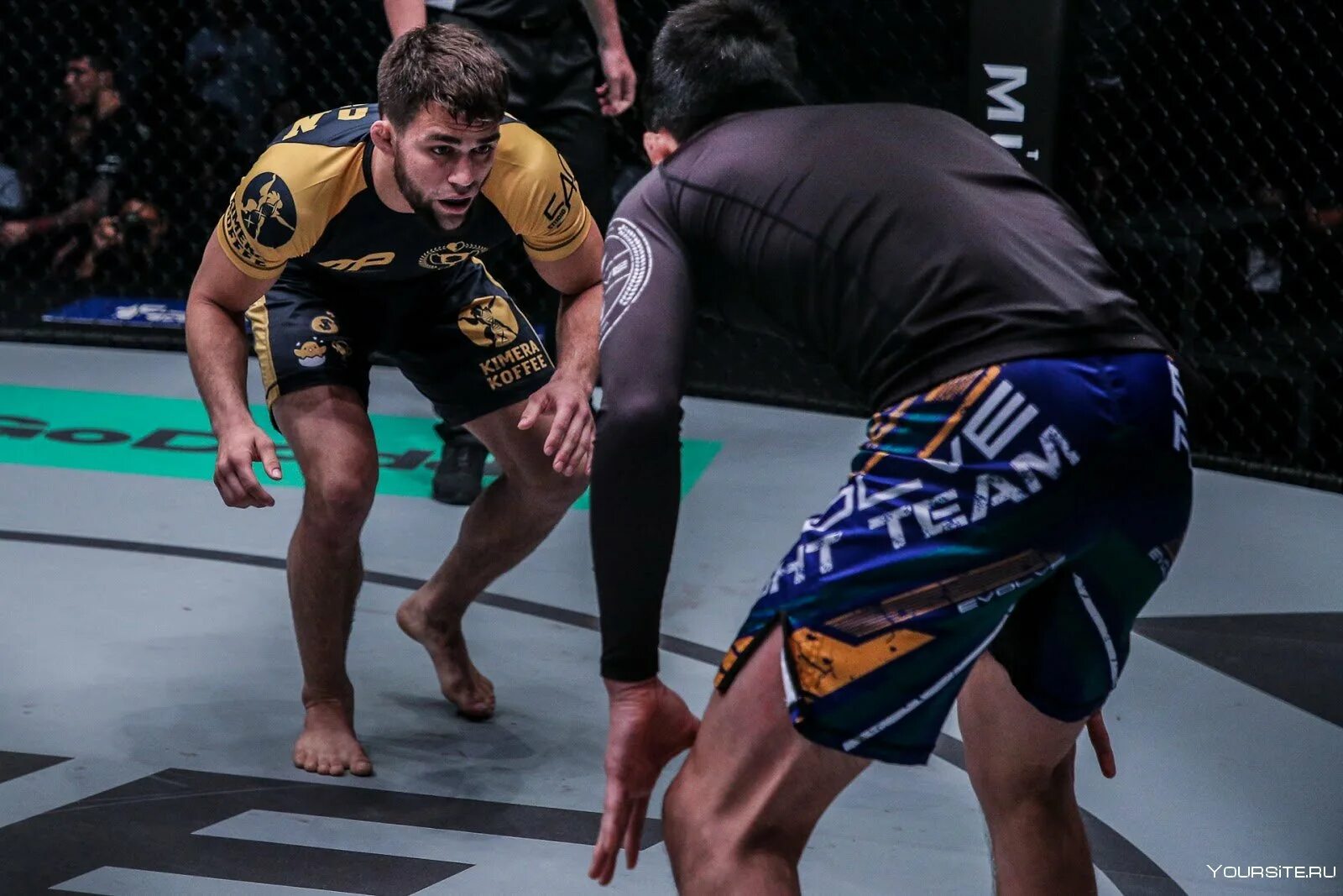 Область грепплинг. Garry Tonon. Грэпплинг бросок.