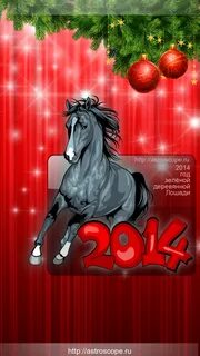 Год лошади 2014