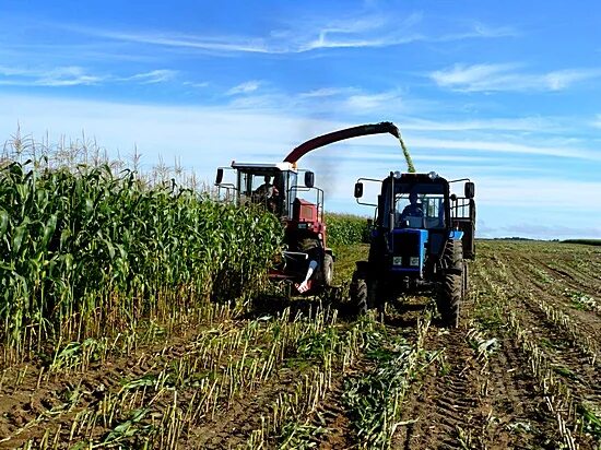 John deere 8000. уборка урожая овощей. сельское хозяйство фермер. сельхоз труды. работники сельского хозяйства.