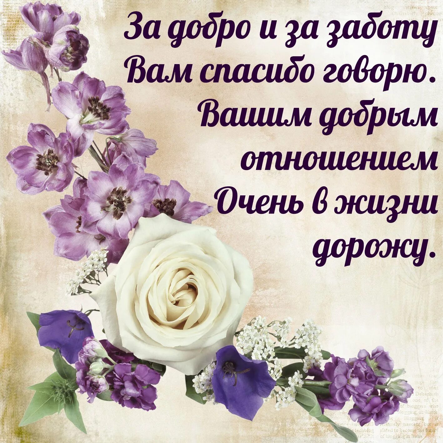 Хорошему человеку картинки. Открытки с благодарностью. Добрые пожелания хорошему человеку. Стихи благодарности. Красивые слова благодарности.