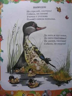 Сочинение не стреляй