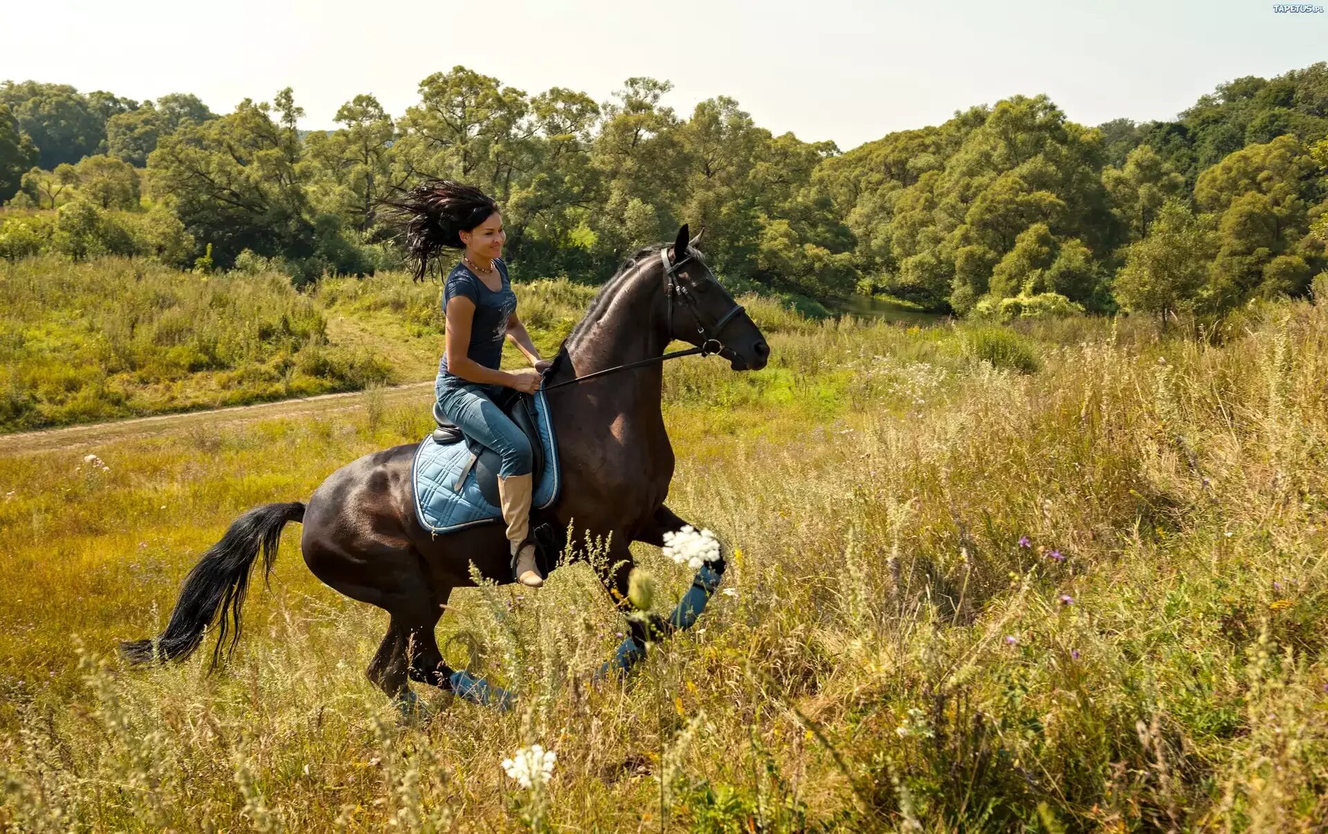 Women riding men. Девушка на коне верхом. Брюнетка верхом на лошади. Фотосессия с лошадьми.