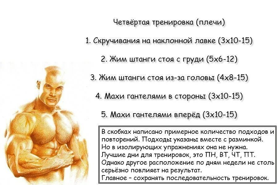 Программа увеличения массы. План тренировок для набора мышечной массы. схема тренировок на массу. упражнения для набора мышц. схема тренировок для набора мышечной массы.