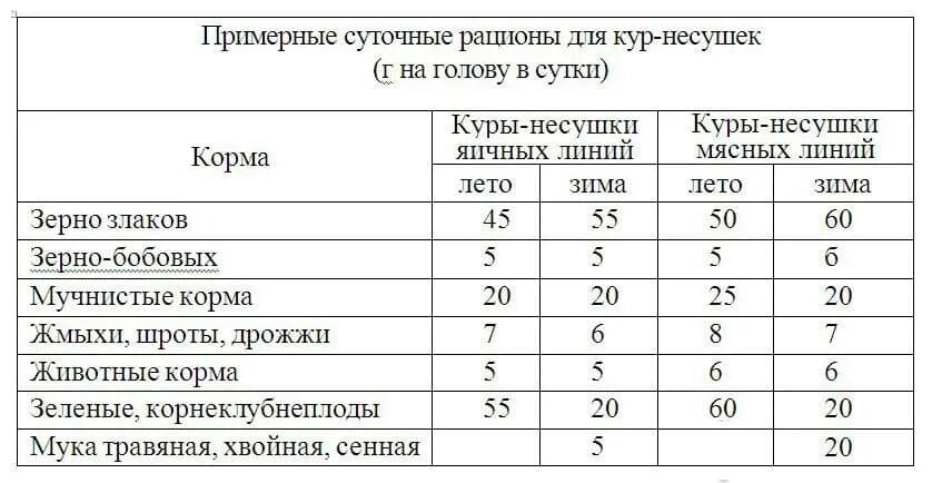 Сколько грамма на 1 курицу. Норма корма для курей несушек в сутки. Норма корма для кур несушек на сутки. Норма корма несушкам в сутки. Рацион корма кур несушек таблица.