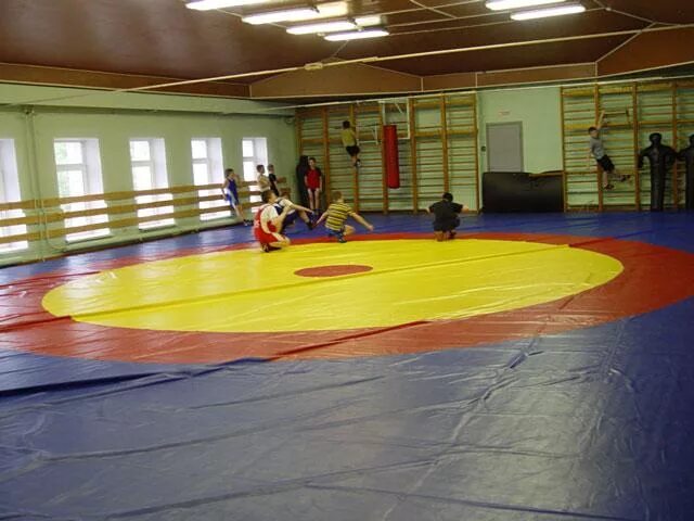 Спортивная 10а. Дюсш 103 южное тушино. ул василия петушкова 10 спортшкола. спортивная школа тушино.