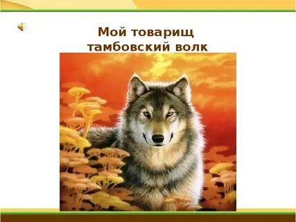 Выражение волк товарищ