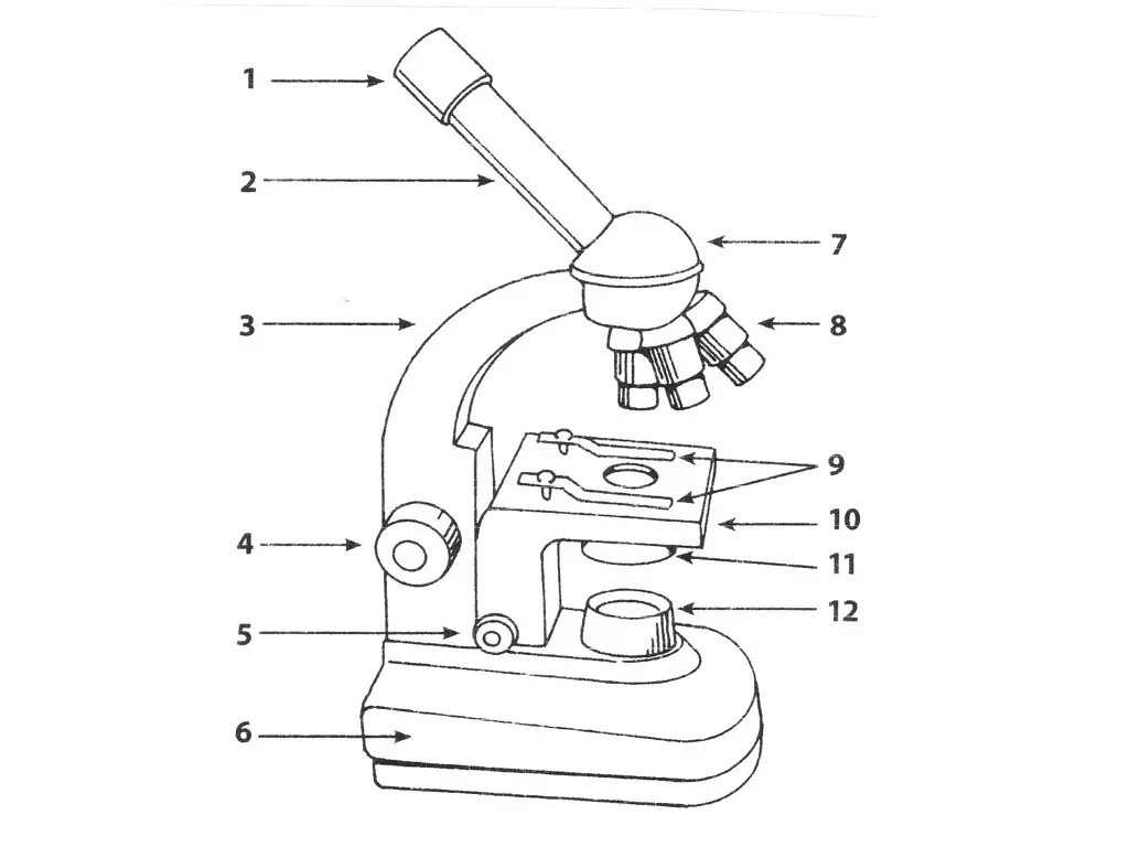 Микроскоп составные части. Световой микроскоп строение. Строение микроскопа микробиология. Строение микроскопа проверочная. Оптический микроскоп строение.