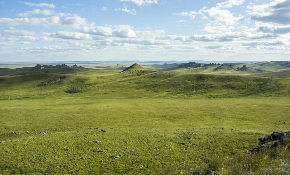 Степи в забайкальском крае. Даурский заповедник Забайкальского края. Даурские степи Забайкальский край. Даурский заповедник Даурская степь. Заповедник Даурия Забайкальский край.