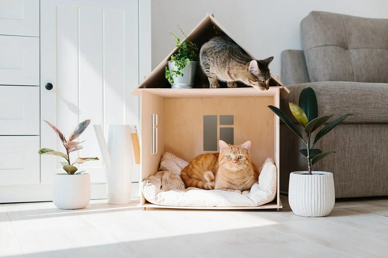 Домик для кота. Кошка в интерьере. Коты в домике. Уютные домики для котов. Кошки дома картинки