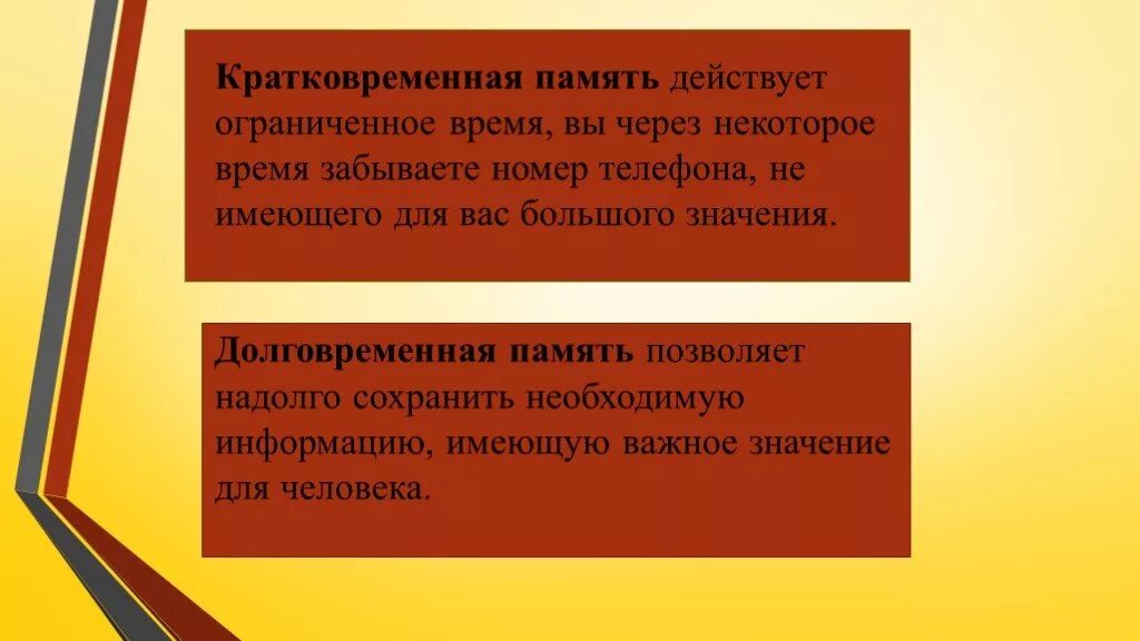 Причины кратковременной памяти. Кратковременная и долговременная память. Кратковременная память. Кратковременная память кратко. Длительность кратковременной памяти.