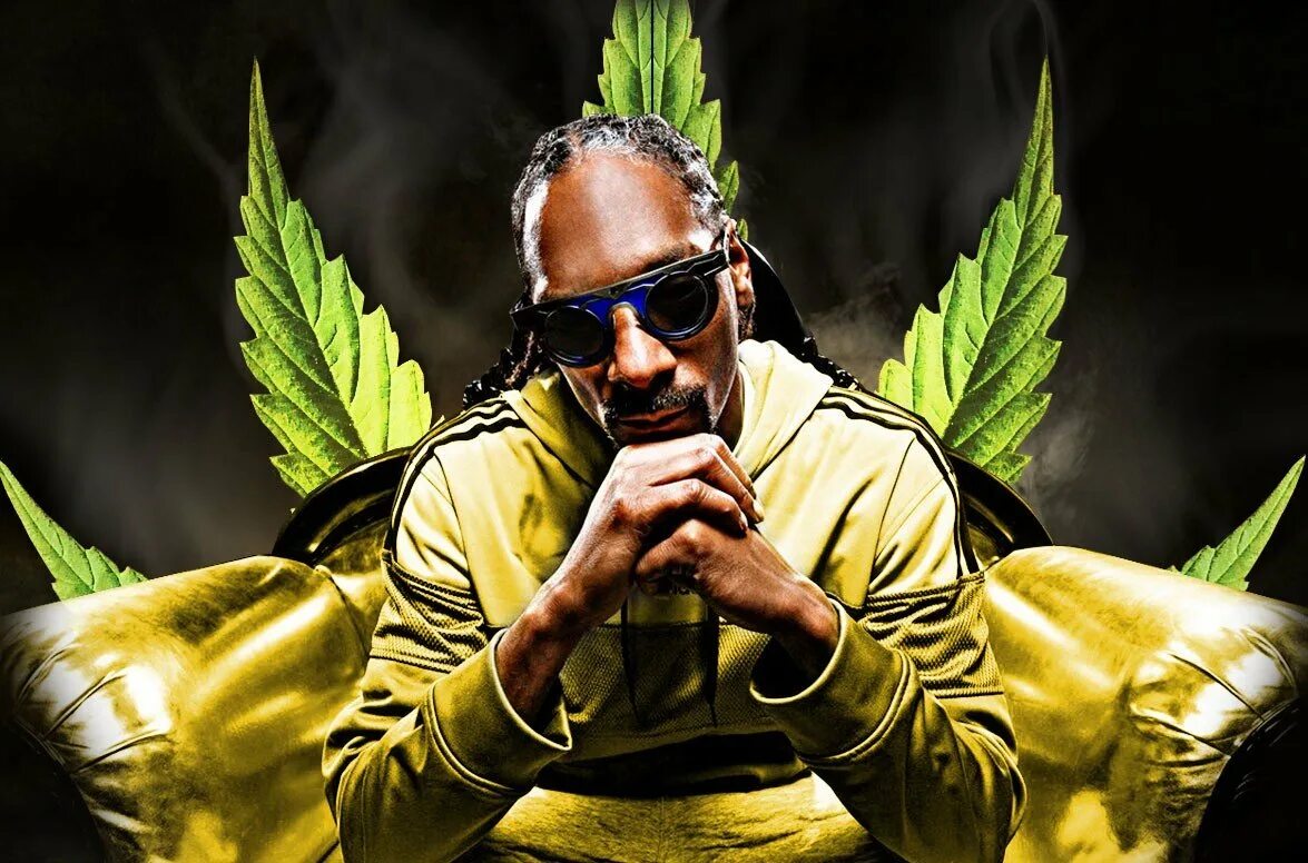Snoop dogg next. Снуп дог 1995. Снуп дог фото. Snoop dogg. Snoop dogg.