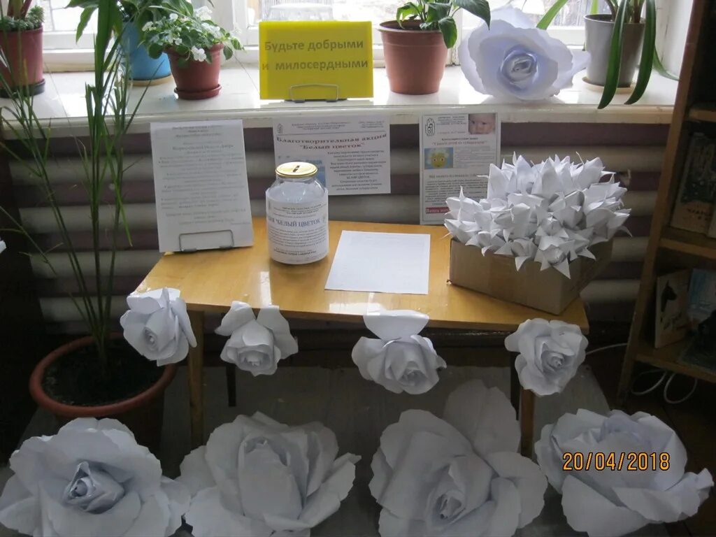 выставка белых цветов. выставка белых цветов. выставка белых цветов. белый цветок 2022 екатеринбург. поддделка белый цветок.