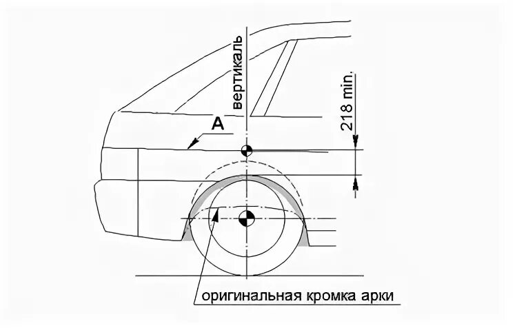 Радиус заднего